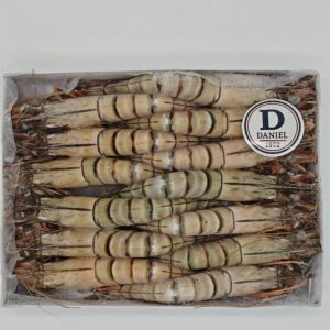 GAMBAS BT HOSO SEMI-IQF 13/15